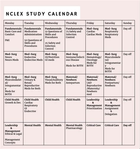 6 Week Nclex Study Plan Etsy