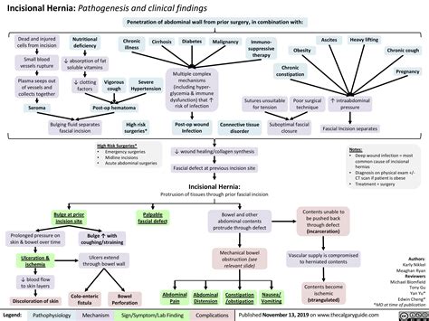 Pathophysiology Hernia