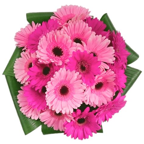 Pink Gerbera Bouquet Png Transparente Stickpng