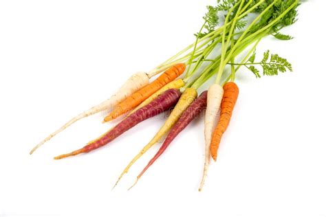 Bunch Of Fresh Baby Carrots Isolated On White Background Stock Image