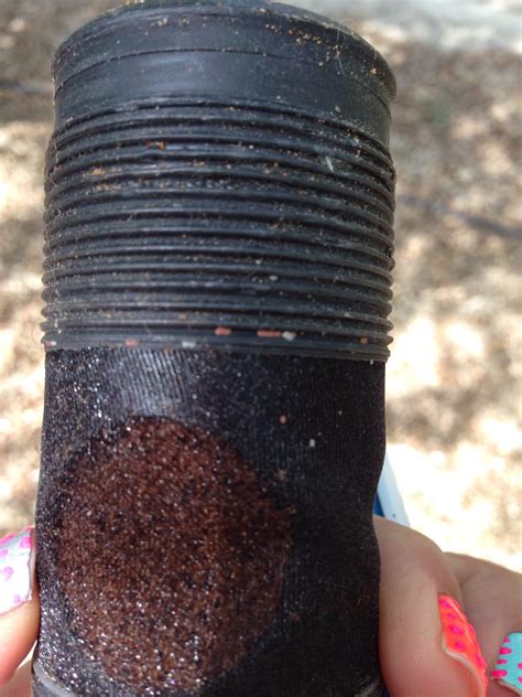 We provide a comprehensive service for treating a variety of pests in both domestic and commercial properties. Sustainable Ag: A View from the Field: Pest Traps Key Tool ...