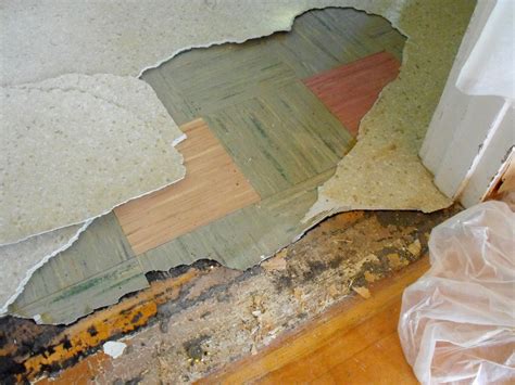 Check spelling or type a new query. Asbestos Vinyl Flooring | Taraba Home Review