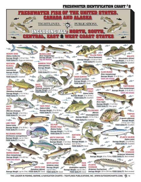 Dodd S Sporting Goods Tightlines Fish Id Chart Freshwater