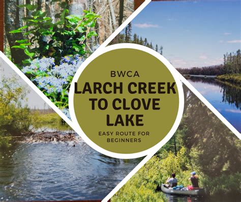 Bwca Larch Creek To Clove Lake