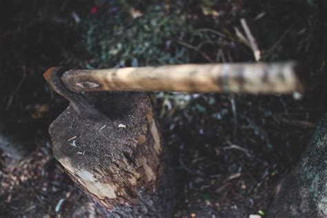 How To Sharpen Your Ax Daily Prepper News
