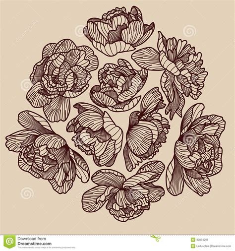 Peony Drawing Decorative Composition Stock Vector Illustration Of