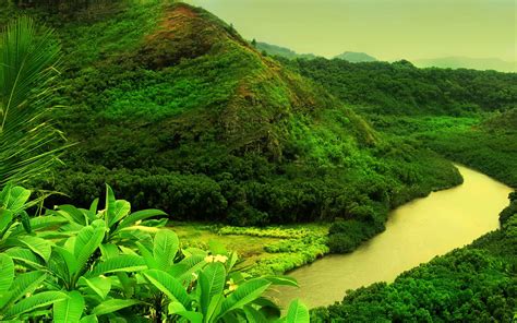 Free Download Tag Green Nature Wallpapers Backgroundsphotos Images And