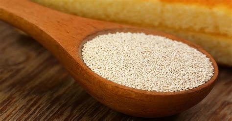 Inilah cikal bakal roti yang disebut sourdough. IM Files: BENEFIT OF YEAST FOR (FACE) SKIN CARE