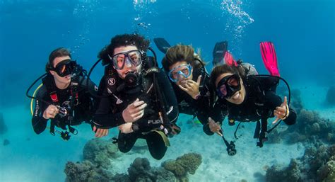 Action Getaway Great Barrier Reef Diving