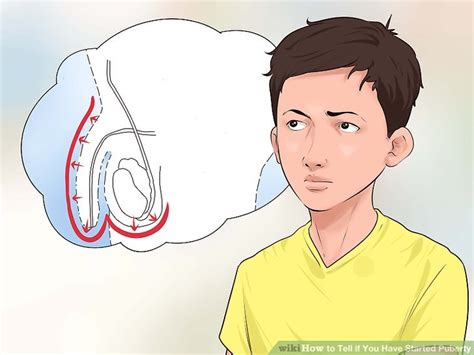 For a guy to get laid, you don't need a lot of money or very good looks. 4 Ways to Tell if You Have Started Puberty - wikiHow
