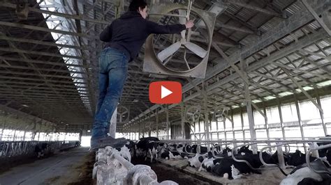 10th Generation Dairyman - Cold Weather Farm Prep.. Cleaning filthy