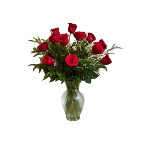 One Dozen Premium Red Long Stemmed Roses Flowers By Fairytales