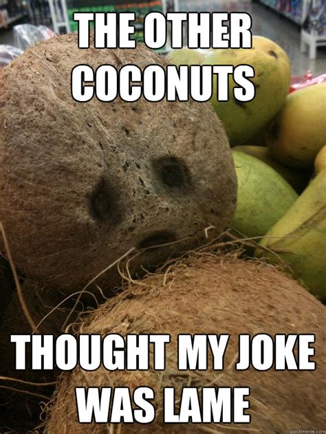 funny coconut meme    laugh  day memesboy