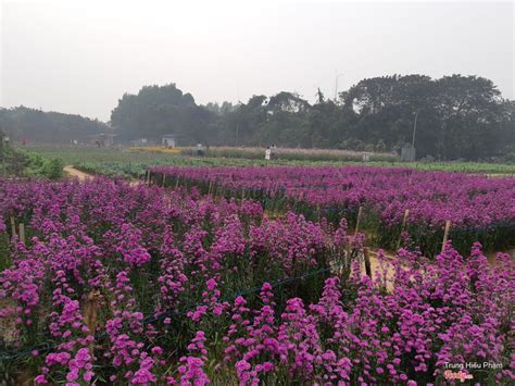 Vườn Hoa Nhật Tân ở Quận Tây Hồ Hà Nội Foodyvn