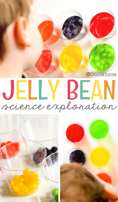 Jelly Bean Science Experiment Mrs Jones Creation Station Jelly