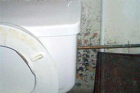 In addition to being unsightly, bathroom ceiling mold can cause permanent damage to your home and is a health hazard for you and your family. how to remove mold from bathroom ceiling