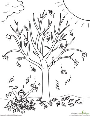Fall trees are so beautiful. Fall Tree | Worksheet | Education.com