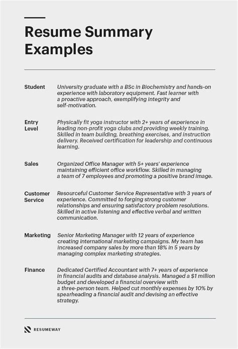 Professional Resume Summary Examples For 2023 How To Guide In 2023