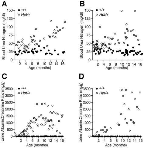 A Male B Female Blood Urea Nitrogen Bun Levels In Individual