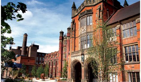 University Of Newcastle Phd Scholarship Mental Health Psychiatry And
