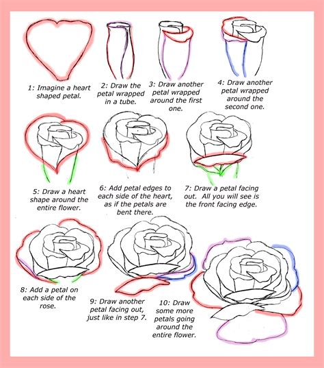 Small Rose Drawing Step By Step How To Draw A Rose Step By Step