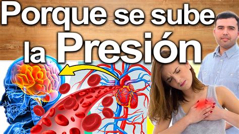 Porqué Se Sube Mi Presión Causas Y Soluciones Para Bajar La Alta