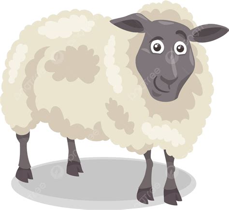 Sheep Farm Animal Cartoon Illustration Illustration Cute Livestock