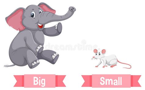 Opposite Words Big Small Stock Illustrations 38 Opposite Words Big