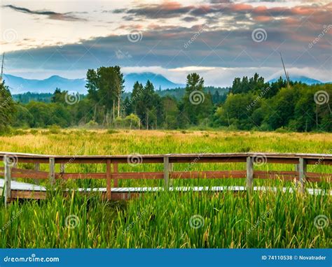 A Sunset Over A Marsh And Pathway Stock Photo Image Of Evening Dusk