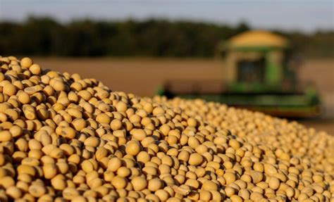 Brazil Has Become The Worlds Top Soybean Producer Emerging Market Views