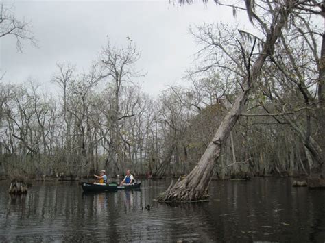 Chicot state park cing 50 cfires best cing in and lake chicot state park lake chicot arkansas deluxe cabin on the water picture of chicot state. Basinkeeper Paddle Fundraiser Dec 16, 2012 at Lake Chicot ...