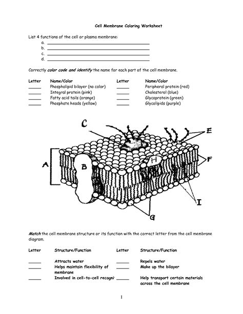 Mar 03, 2020 · cell biology is the subdiscipline of biology that studies the basic unit of life, the cell.it deals with all aspects of the cell including cell anatomy, cell division (mitosis and meiosis), and cell processes including cell respiration, and cell death. 32 Modeling Cell Structures Worksheet Answers - Worksheet ...