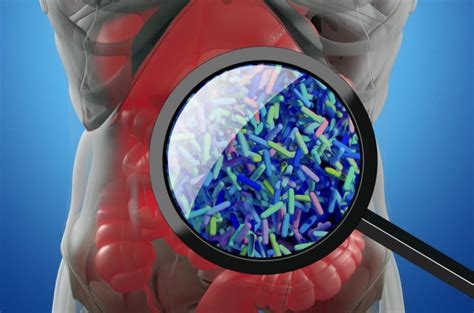 Study Reveals Connection Between Gut Microbiome And Inflammatory Bowel