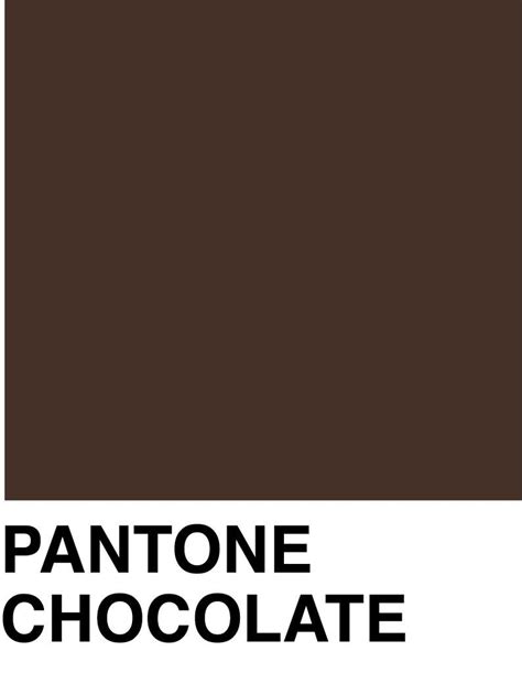 Chocolate Color Swatch Brown Pantone