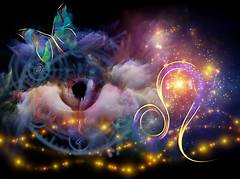 The Roadmap To Divine Purpose: Gateway Bible Verses For Career And Business Success