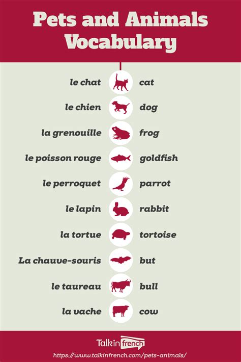 French Vocab Pets And Animals Talk In French Basic French Words