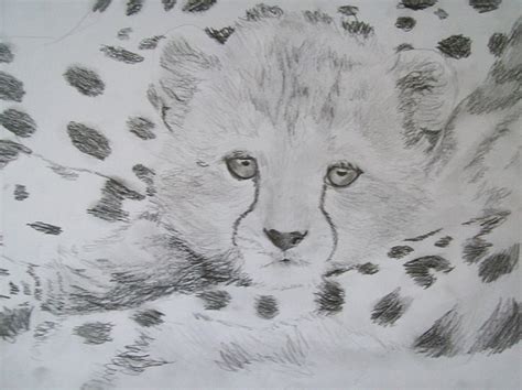 How to draw a baby cheetah baby cheetah step by step. Baby Cheetah Sleeping With Mommy Original By Pigatopia ...