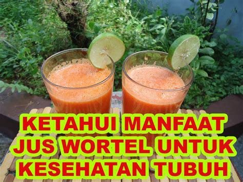 Maybe you would like to learn more about one of these? KETAHUI MANFAAT JUS WORTEL UNTUK KESEHATAN TUBUH ...