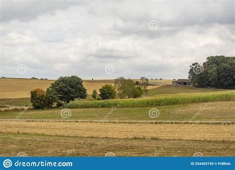 Overcast Farmland Scenery Stock Image Image Of Overcast 254403195