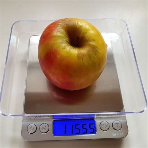 How Much Does An Apple Weigh Weigh School