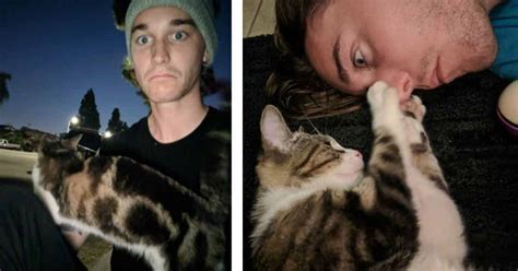 Stray Cat Follows Man Home And Decides Shes Never Leaving Mutually