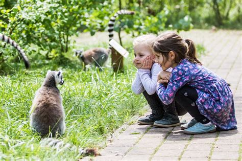 Pozrite si recenzie zariadenia zoo ostrava, umiestnenie a fotografie od cestovateľov v ostrava, česká republika na tripadvisore. Príďte do Zoo Ostrava a zažite prírodu na dosah - SME | MY ...
