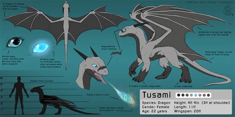 Tusami The Dragon Reference Sheet By Caninehybrid On Deviantart
