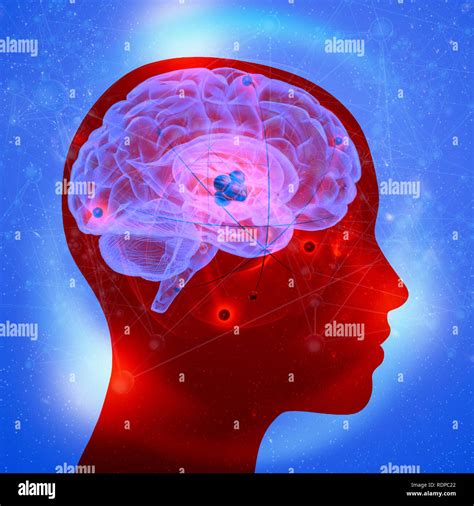 Atoms In The Human Brain Illustration Stock Photo Alamy