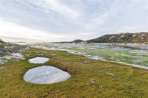 Heuningnes River And Estuary Photograph By Peter Chadwick Pixels