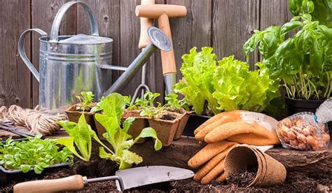 Sign up for convenient, affordable private lessons today! MULCH/GRAVEL/TOPSOIL - Boyles Nursery