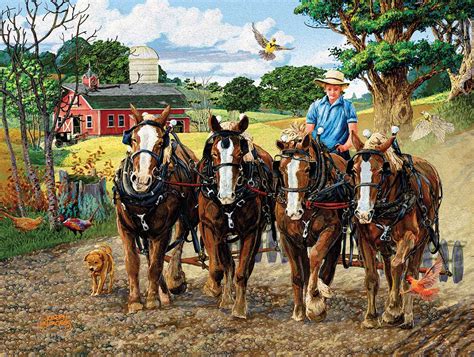Amish Farm 300 Pieces Sunsout Puzzle Warehouse