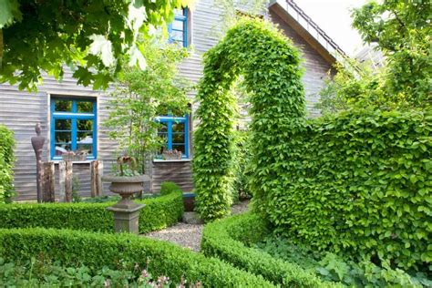 Very traditional gardens would have sage, rosemary, lavender and savory. How to Build a Knot Garden (40 Photo Designs)