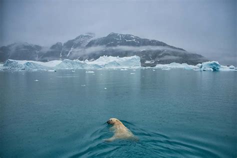 Nonton film greenland (2020) online dengan subtitle indonesia terbaik dan memiliki kualitas terbaik film indonesia sub indo layarkaca21 lk21. Rain may be causing a worrying amount of ice to melt in ...