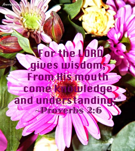 Flowery Blessing For The Lord Gives Wisdom From His Mouth Come